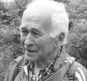 Vladimír Řehořek